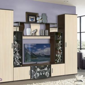 Стенка в зал Алегро 2